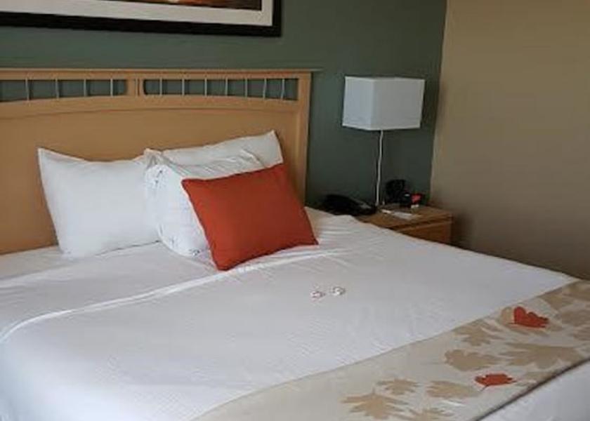 Texas Corpus Christi Room