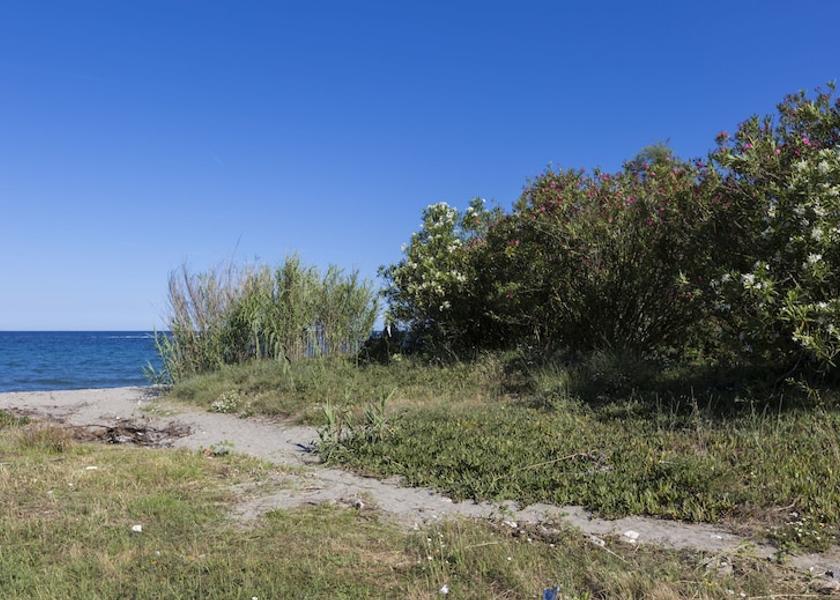 Corsica Poggio-Mezzana Exterior Detail