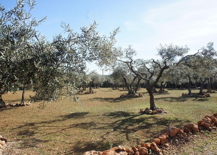 Provence - Alpes - Cote d'Azur Cotignac View from Property