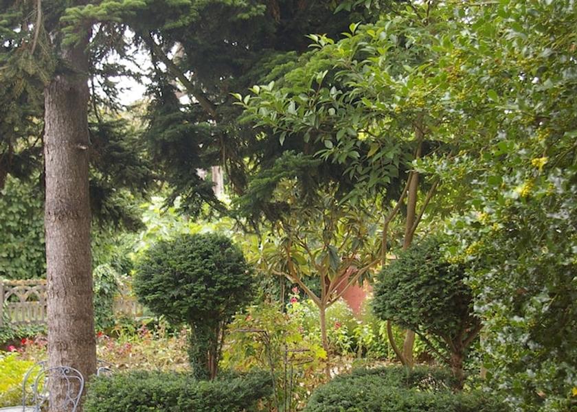 Occitanie Valence Garden