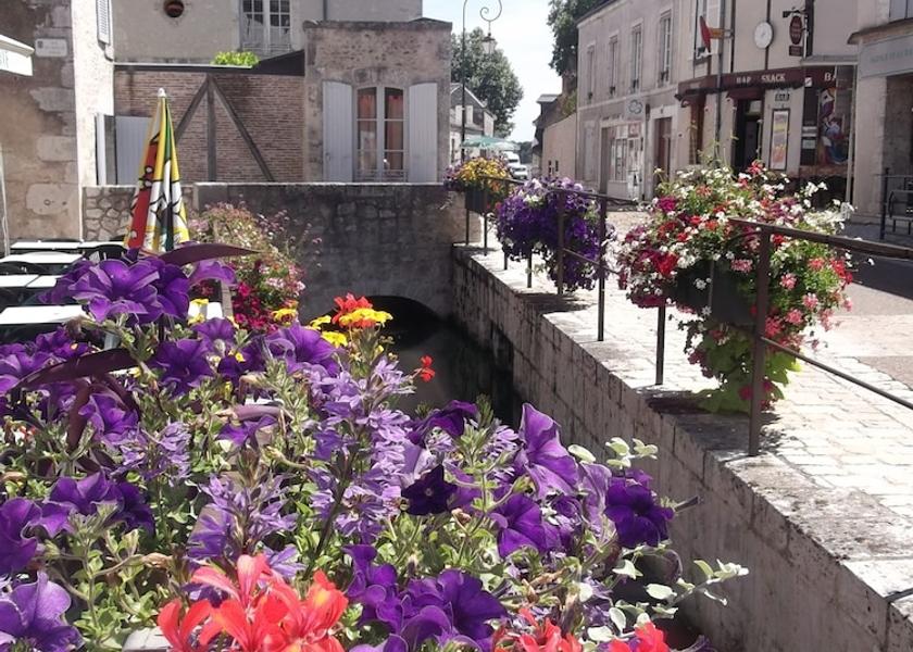 Centre - Loire Valley Beaugency View from Property