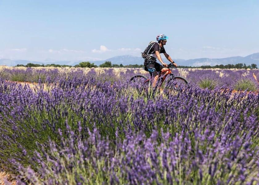 Provence - Alpes - Cote d'Azur Manosque Hiking