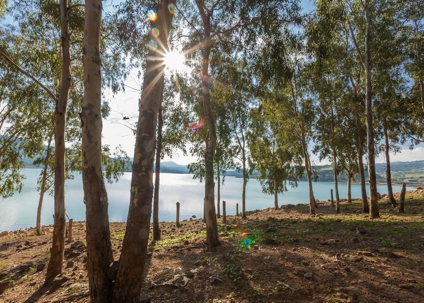  Ain Draham Exterior Detail