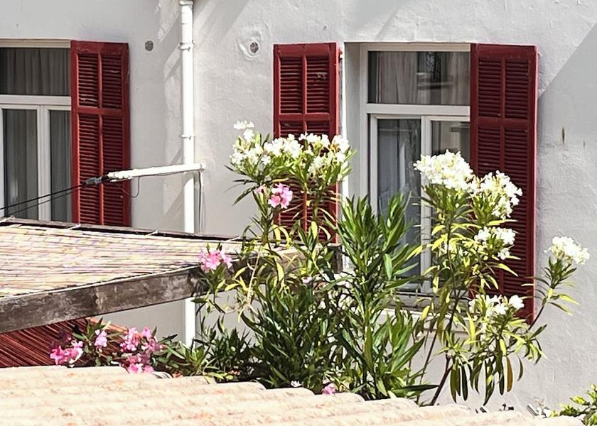 Provence - Alpes - Cote d'Azur Antibes Terrace