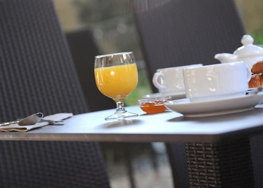 Provence - Alpes - Cote d'Azur Arles Garden