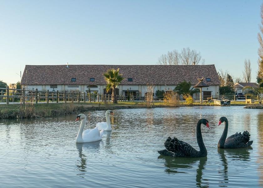 Occitanie Saint-Gilles Property Grounds