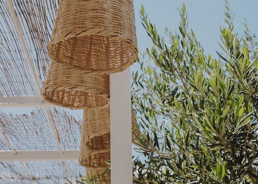 Occitanie Le Grau-Du-Roi Pool