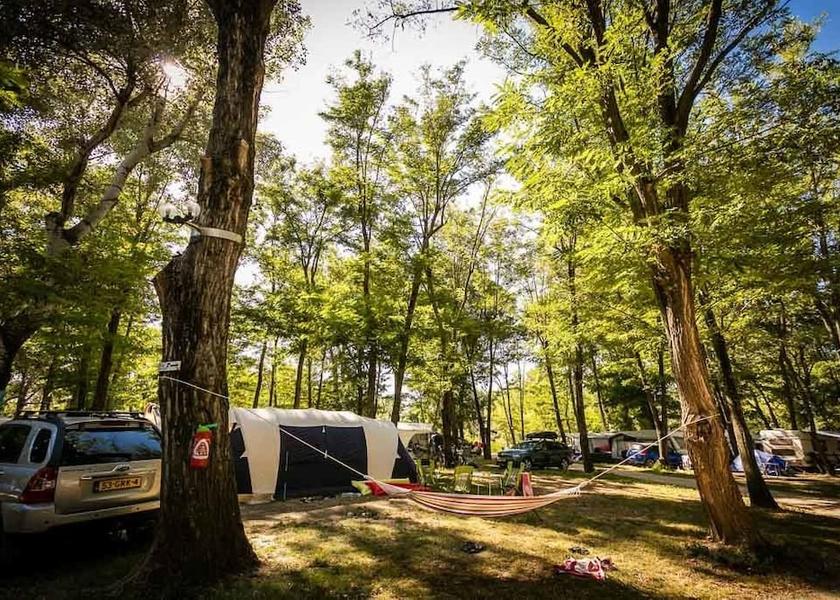 Occitanie Bagnols-sur-Ceze Property Grounds