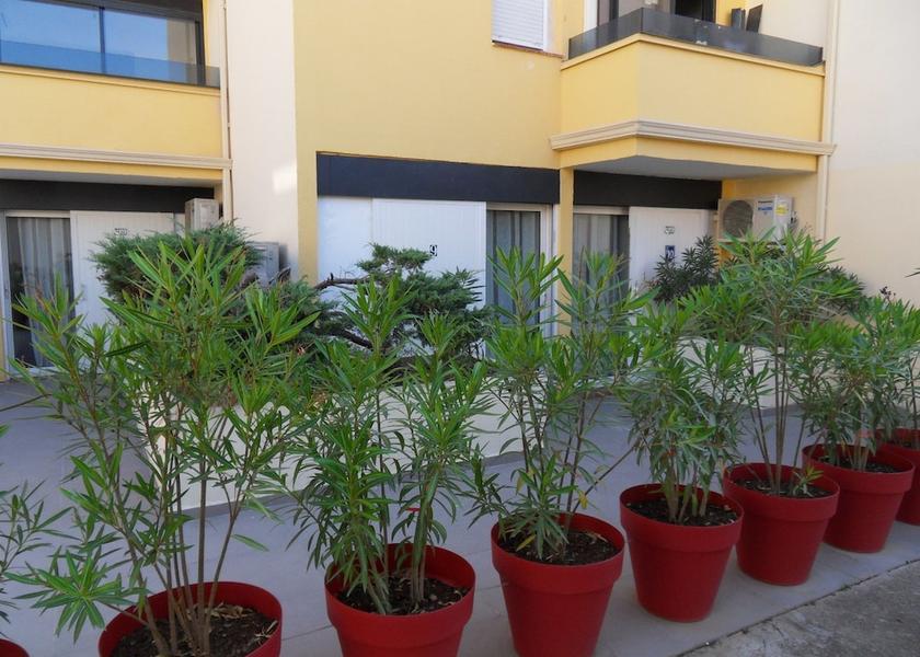 Occitanie Agde Exterior Detail