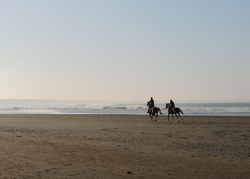 Pays de la Loire Saint-Brevin-les-Pins Horse Riding