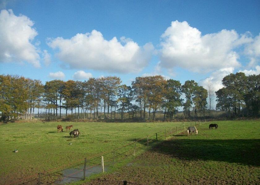 Normandy Sassetot-le-Mauconduit Property Grounds