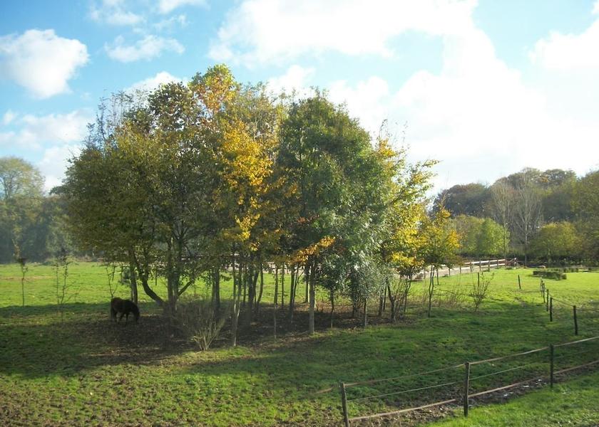 Normandy Sassetot-le-Mauconduit Property Grounds