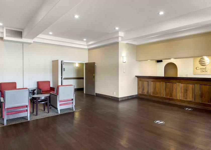 Alberta Lethbridge Lobby