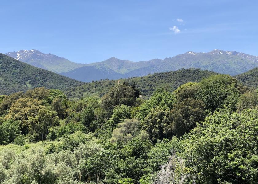 Corsica Prunelli-Di-Fiumorbo Exterior Detail