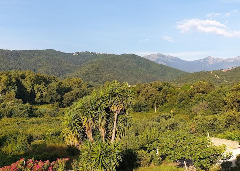 Corsica Prunelli-di-Fiumorbo Terrace