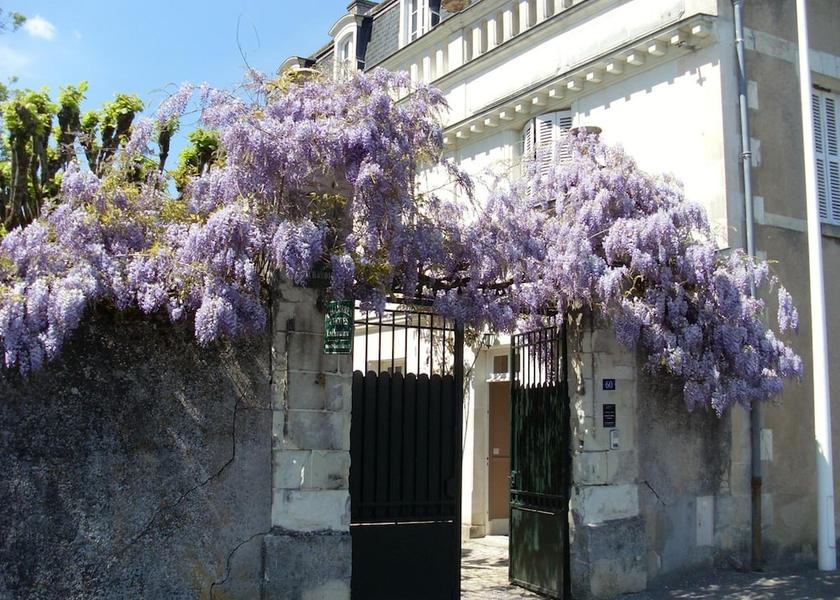 Centre-Loire Valley Tours Exterior Detail