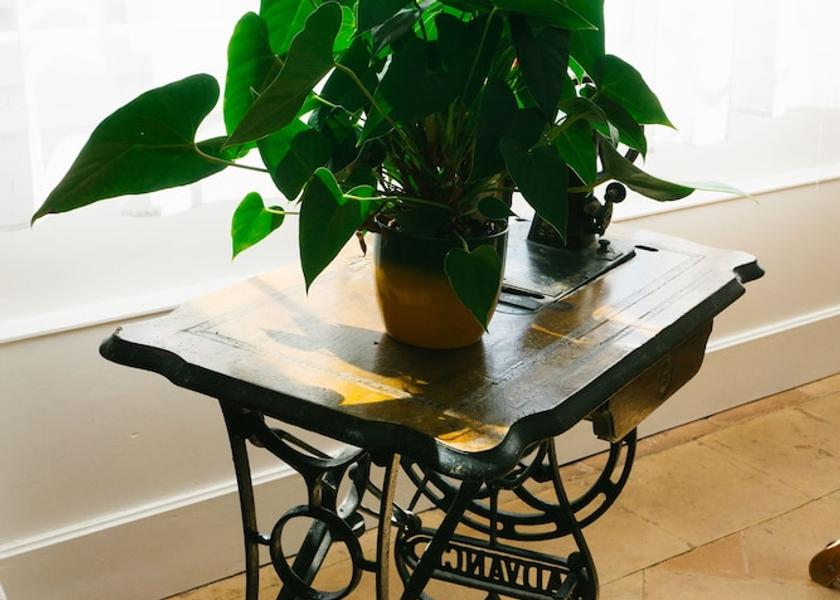 Occitanie Montauban Reception