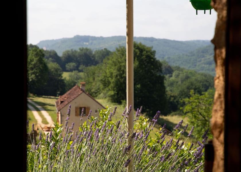 Nouvelle-Aquitaine Beynac-et-Cazenac View from Property