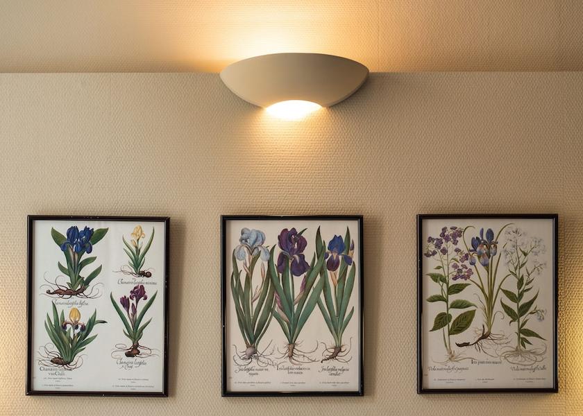 Provence-Alpes-Côte d'Azur Avignon Room