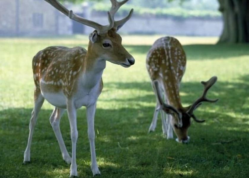 England Sevenoaks View from Property