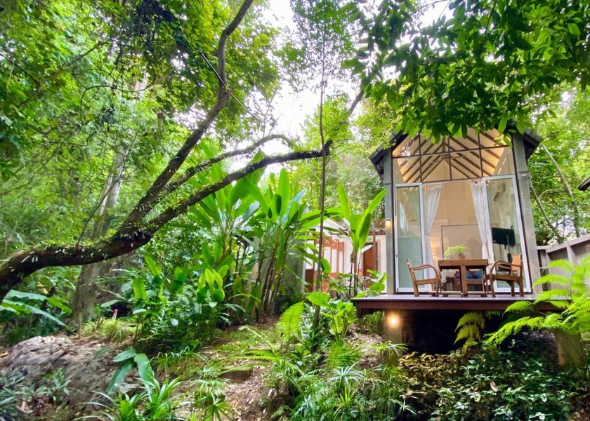 Chiang Mai Province Mae Rim Hotel Exterior