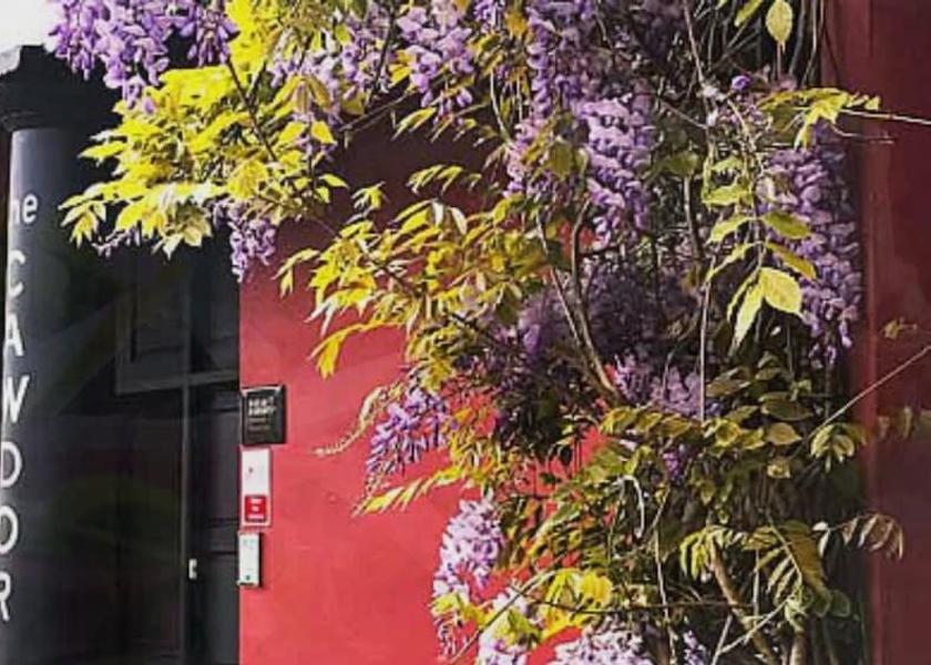 Wales Llandeilo Reception