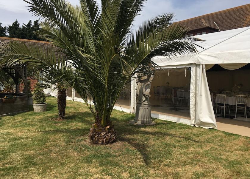 Outdoor Wedding Area