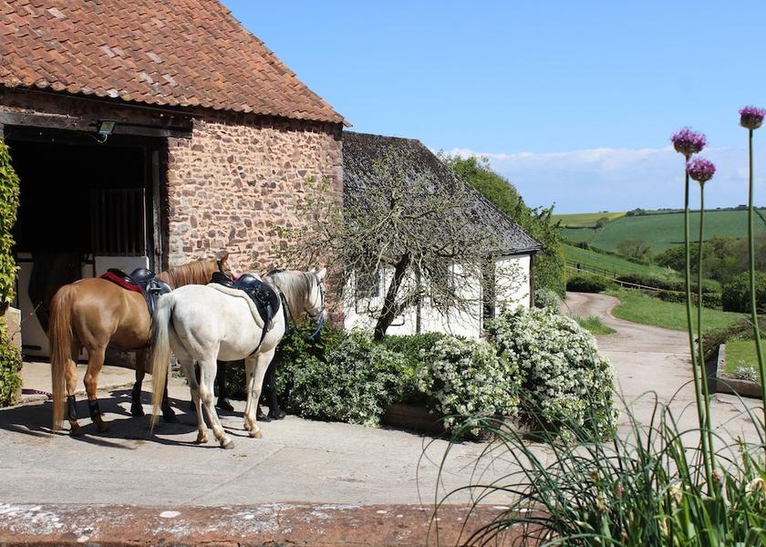 England Bridgwater Property Grounds