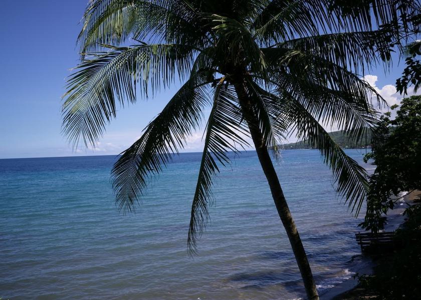 Central Visayas Catmon Beach