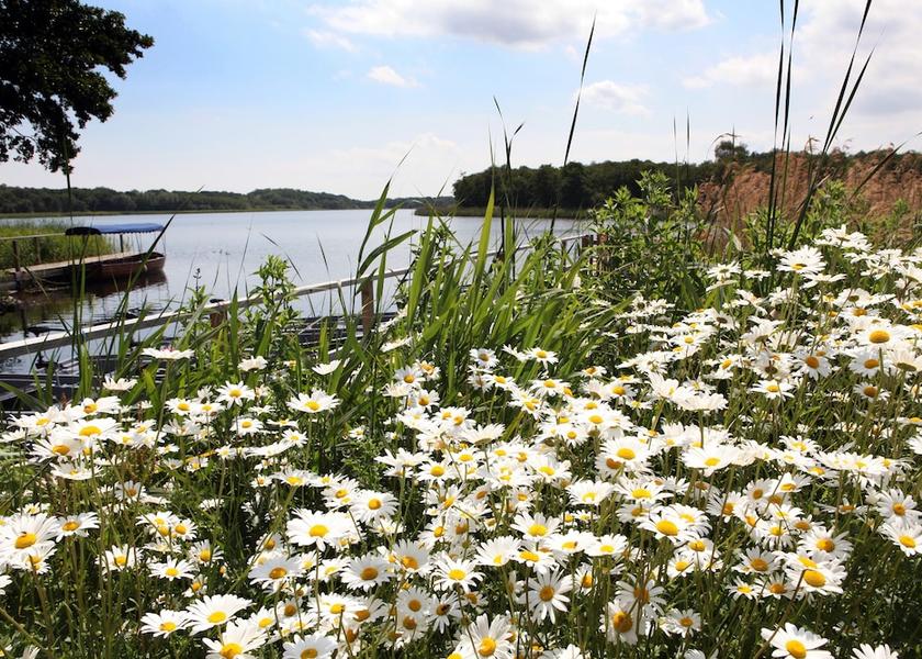 England Great Yarmouth Exterior Detail