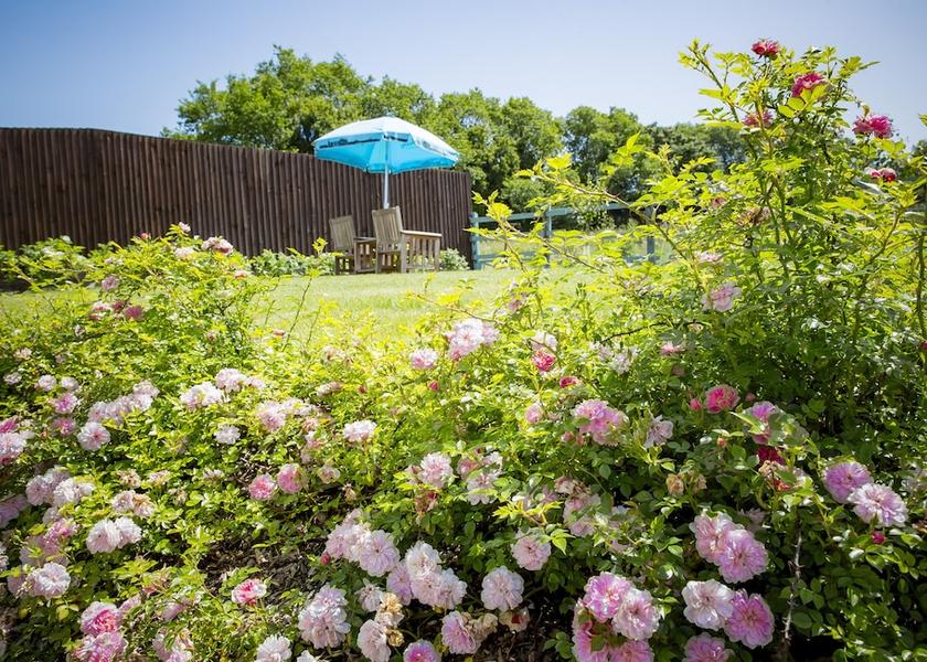 England Saffron Walden Garden