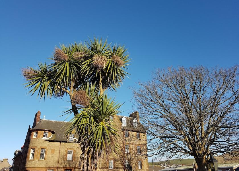 Scotland Campbeltown Property Grounds