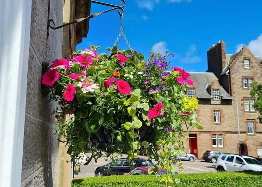 Scotland Campbeltown Facade