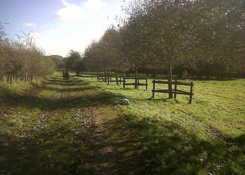 England Wimborne Property Grounds