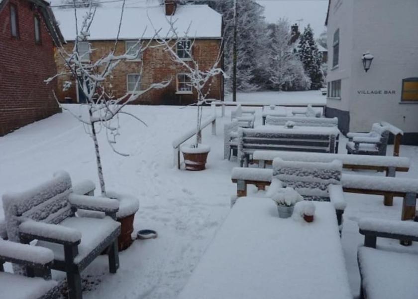 England Wimborne Garden