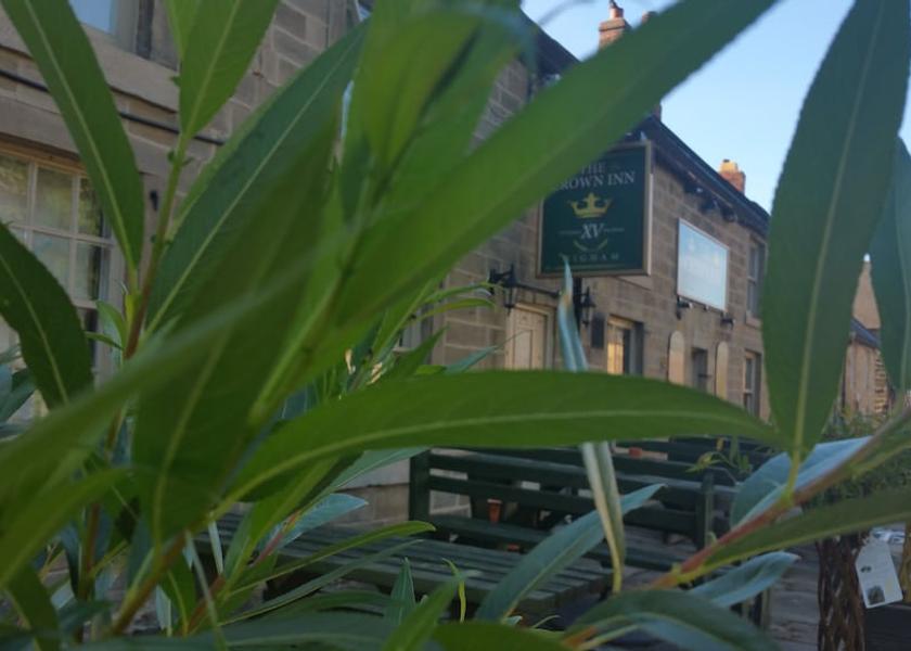 England Alfreton Primary image