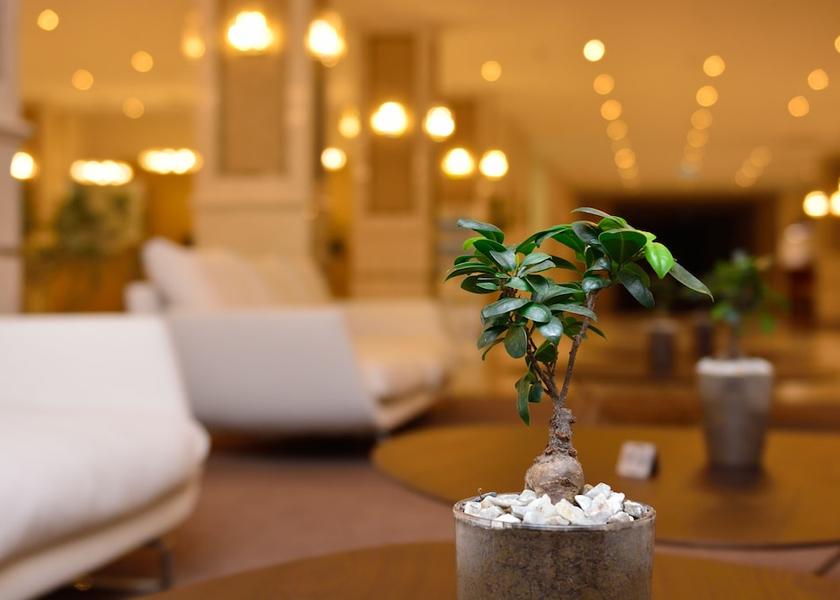 Adjara Batumi Reception