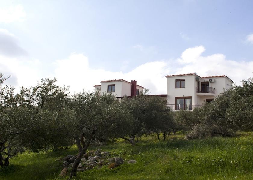 Crete Archanes-Asterousia Property Grounds
