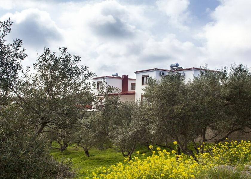 Crete Archanes-Asterousia Property Grounds