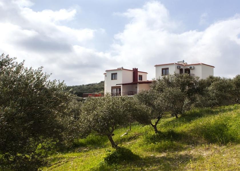 Crete Archanes-Asterousia Property Grounds