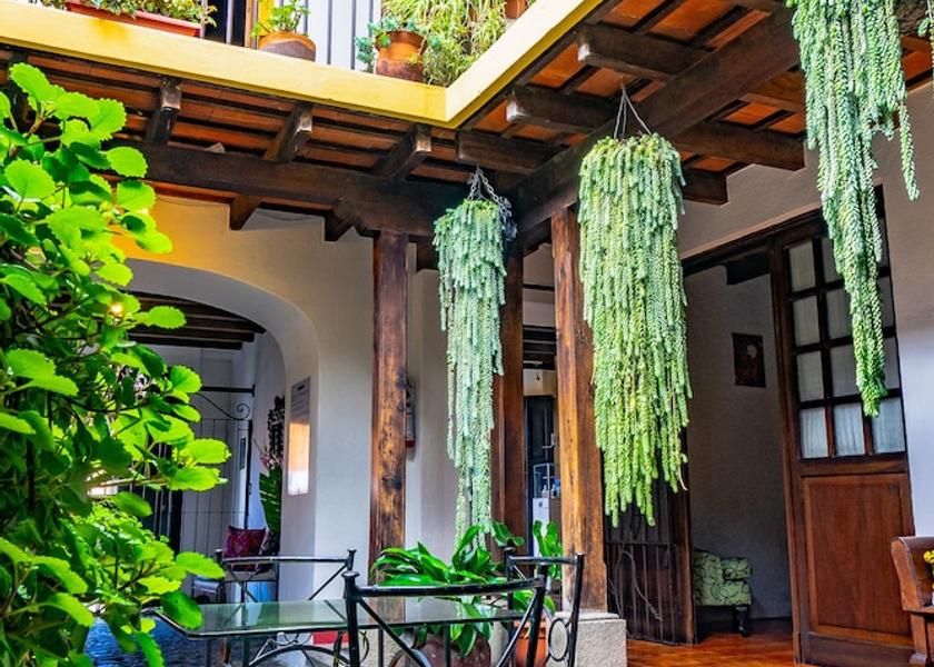 Sacatepéquez Antigua Guatemala Garden