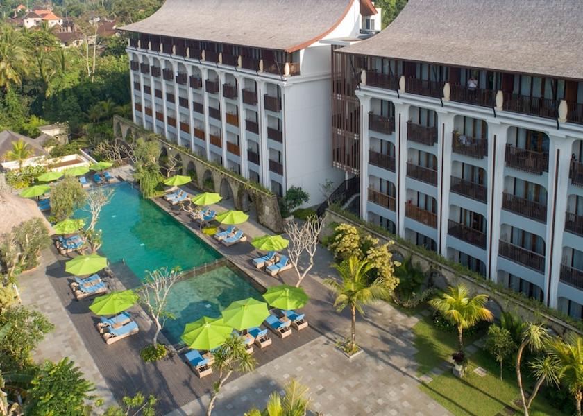 Bali Ubud Aerial View