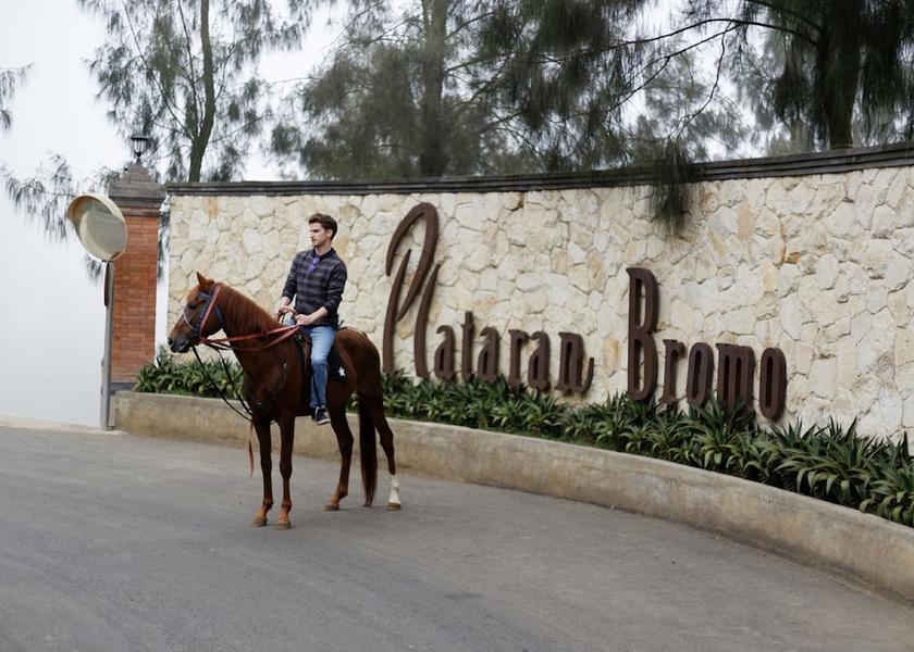 East Java Wonokitri Horseback riding