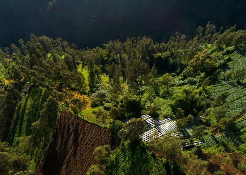 East Java Wonokitri Aerial View