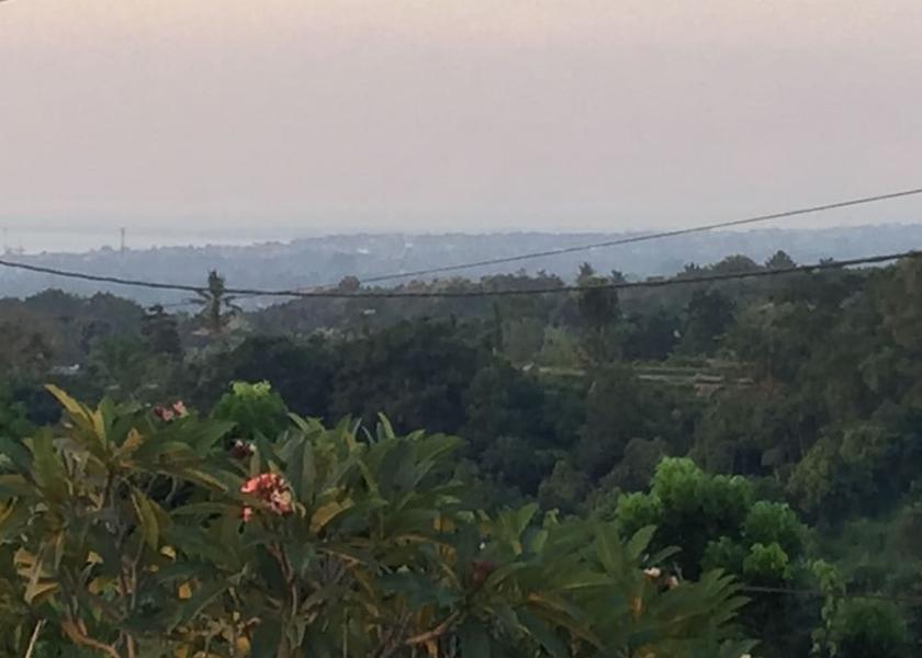 Bali Sukasada View from Property