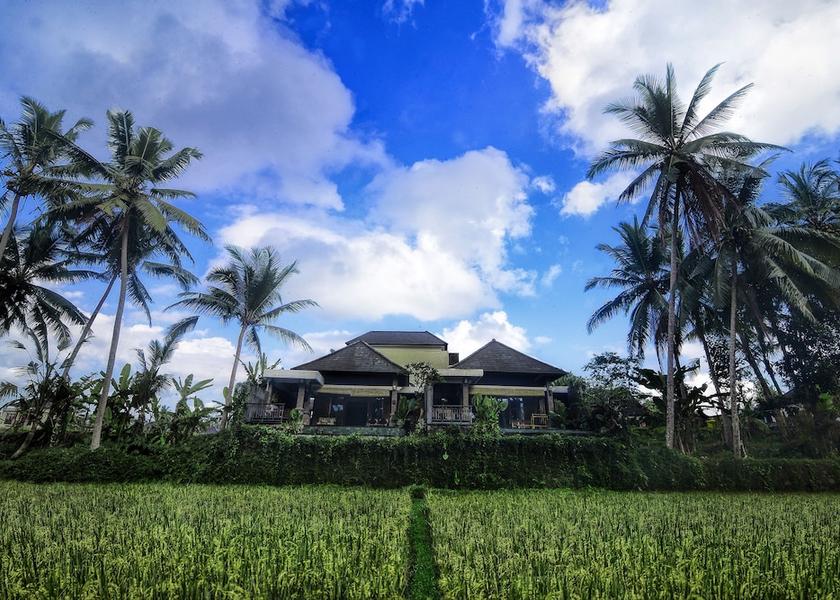 Bali Ubud Property grounds