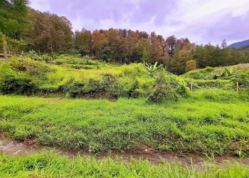 West Java Pasirjambu Land View from Property