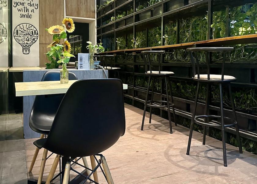 Cafe