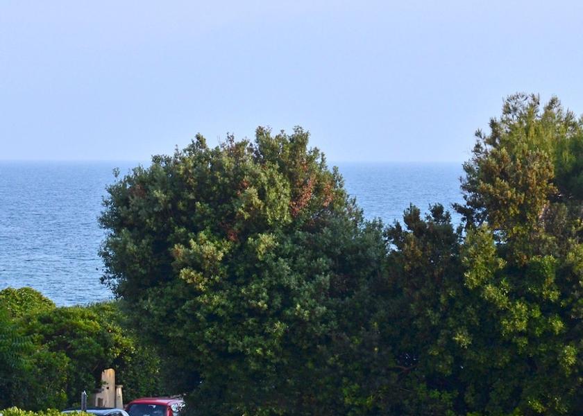 Tuscany Castiglione Della Pescaia View from Property