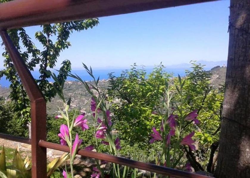 Campania Ogliastro Cilento Garden View